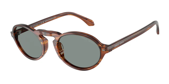 AR8219U Tortoise/Blue M