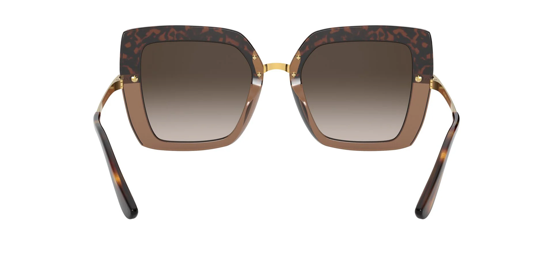 DG4373 Gold/Brown Gradient Dark Brown XL - Image 4