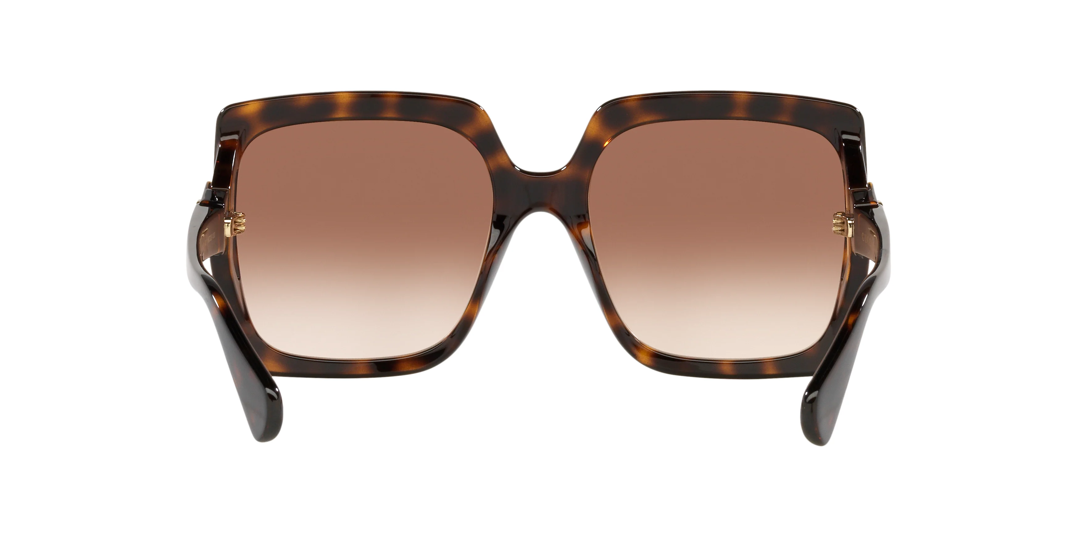 GC001504 Tortoise/Brown - Image 4