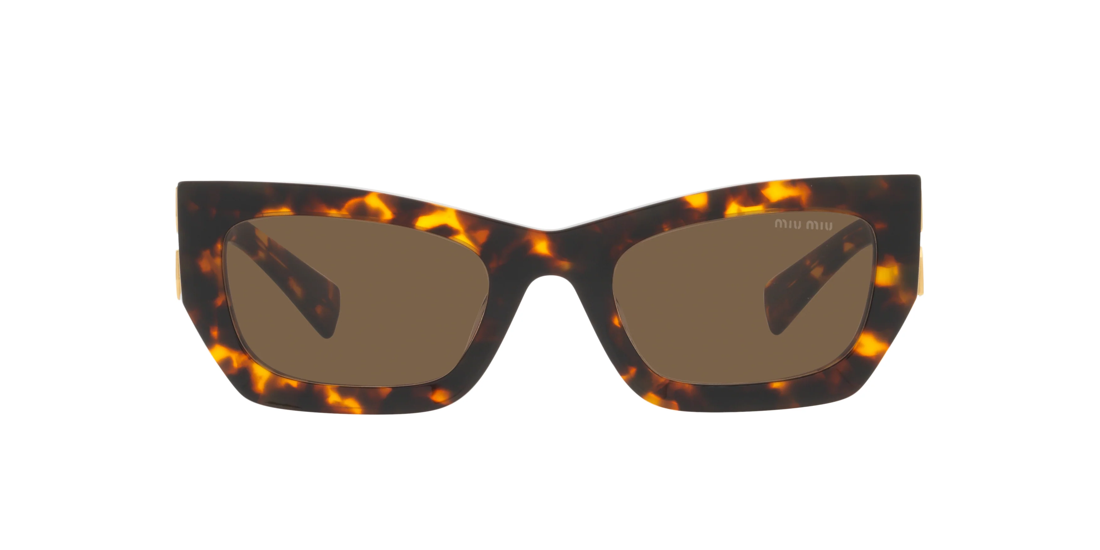 MU 09WS Tortoise/Dark Brown/Polarized - Image 2