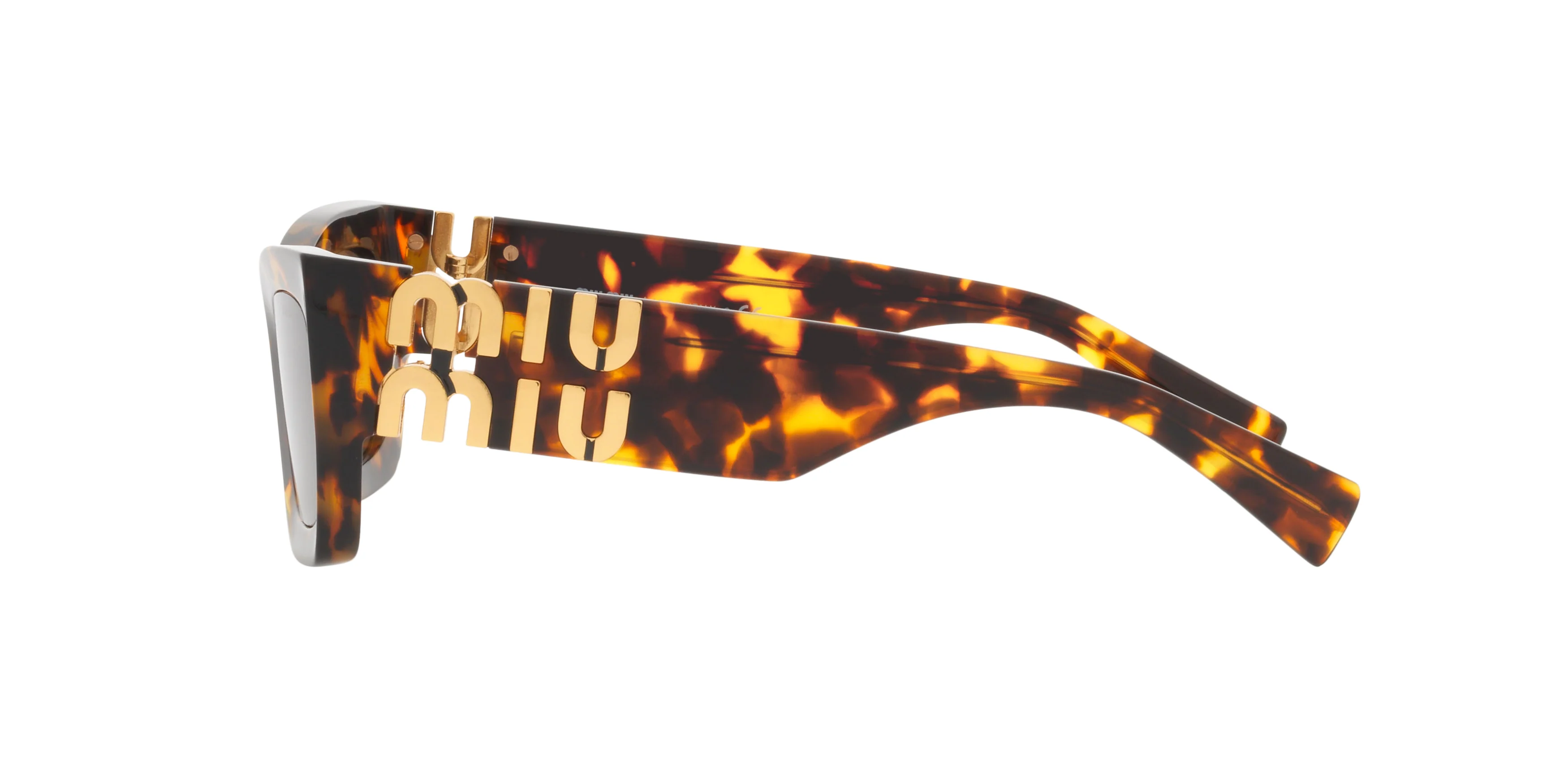 MU 09WS Tortoise/Dark Brown/Polarized - Image 3