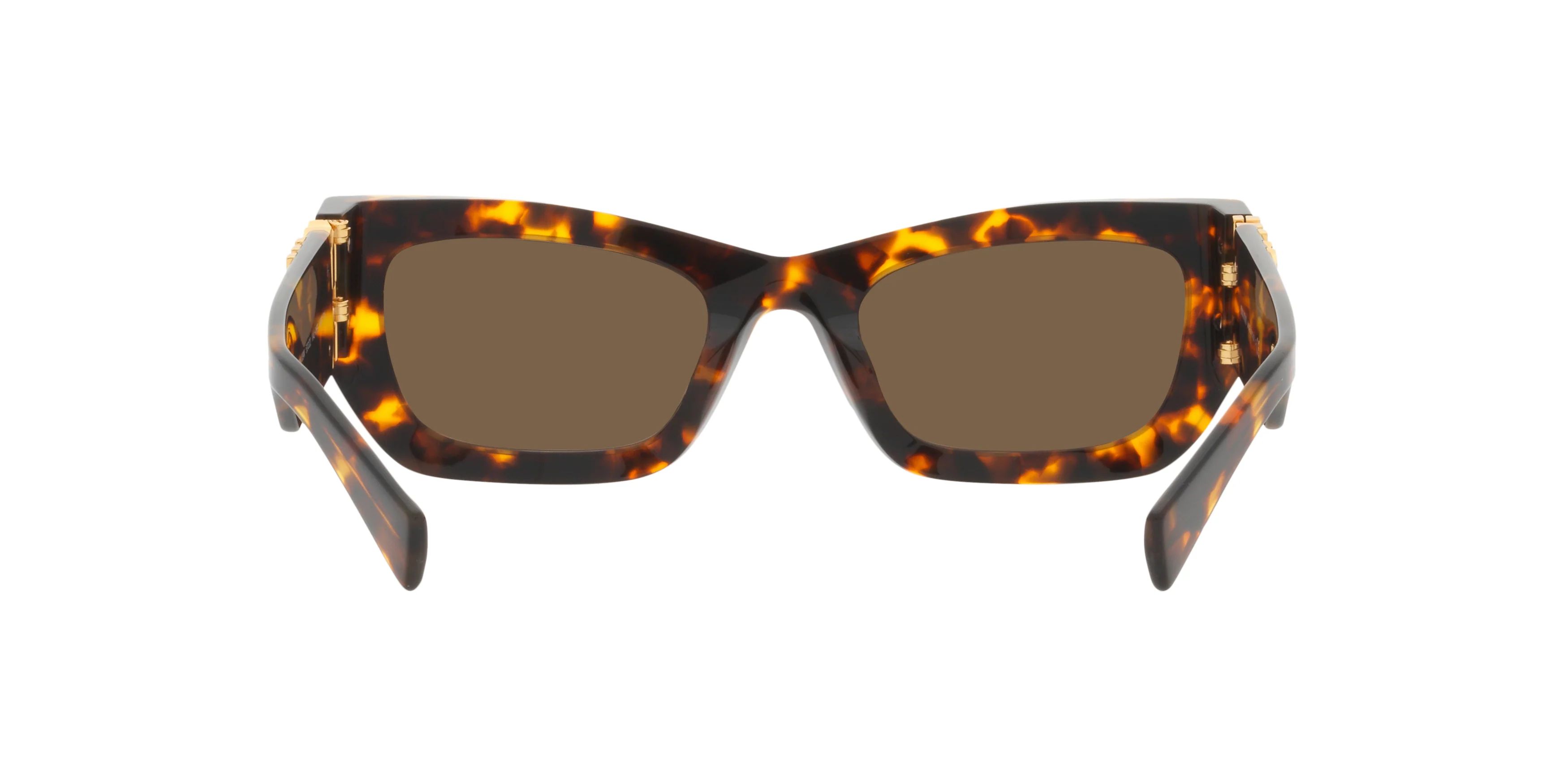 MU 09WS Tortoise/Dark Brown/Polarized - Image 4