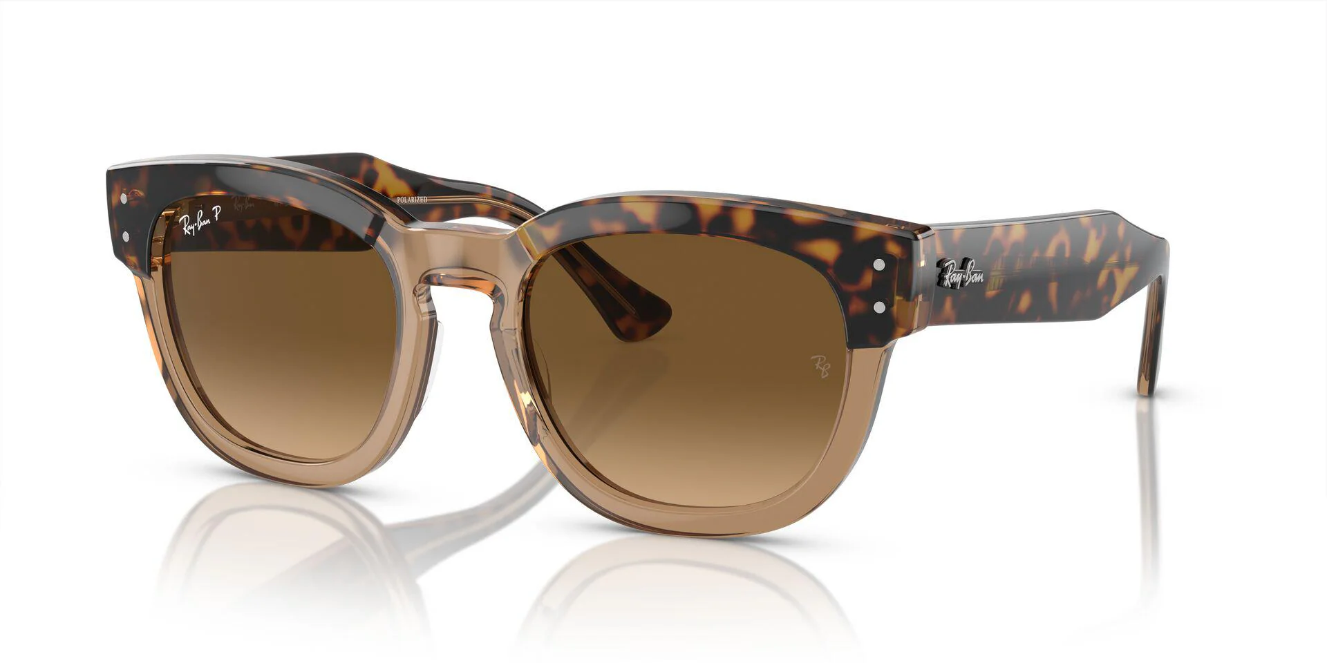 RB0298S Gold/Brown/Polarized L