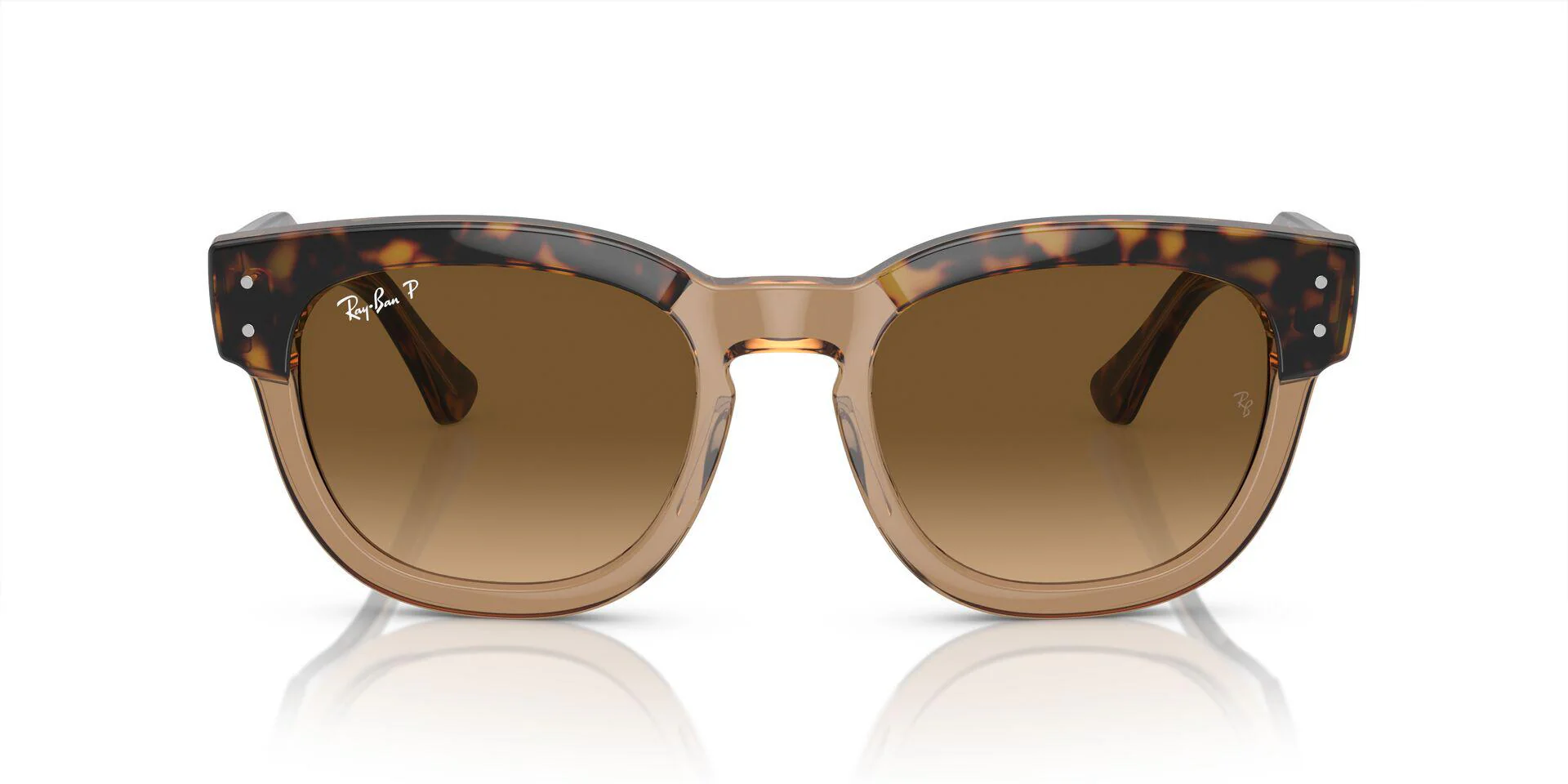 RB0298S Gold/Brown/Polarized L - Image 2