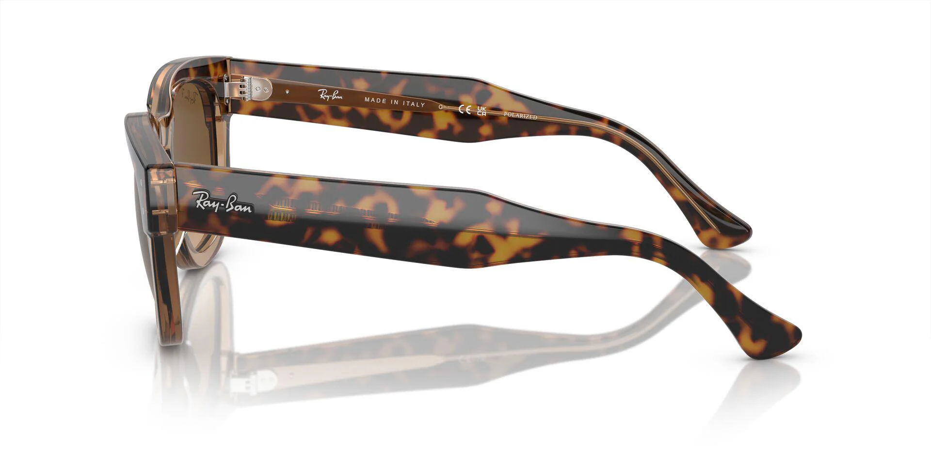 RB0298S Gold/Brown/Polarized L - Image 3