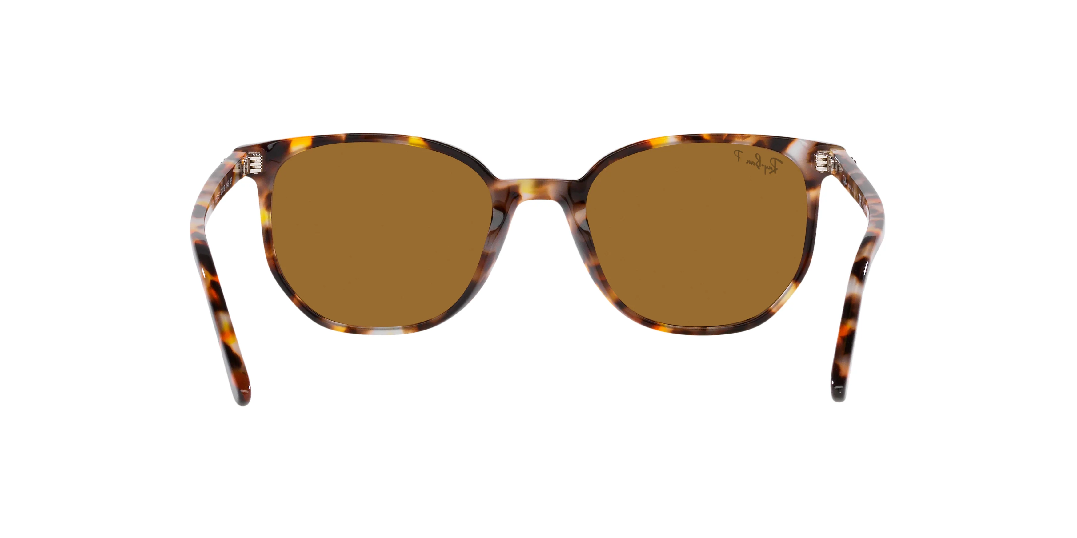 RB2197 Havana/Brown Polar/Polarized - Image 4
