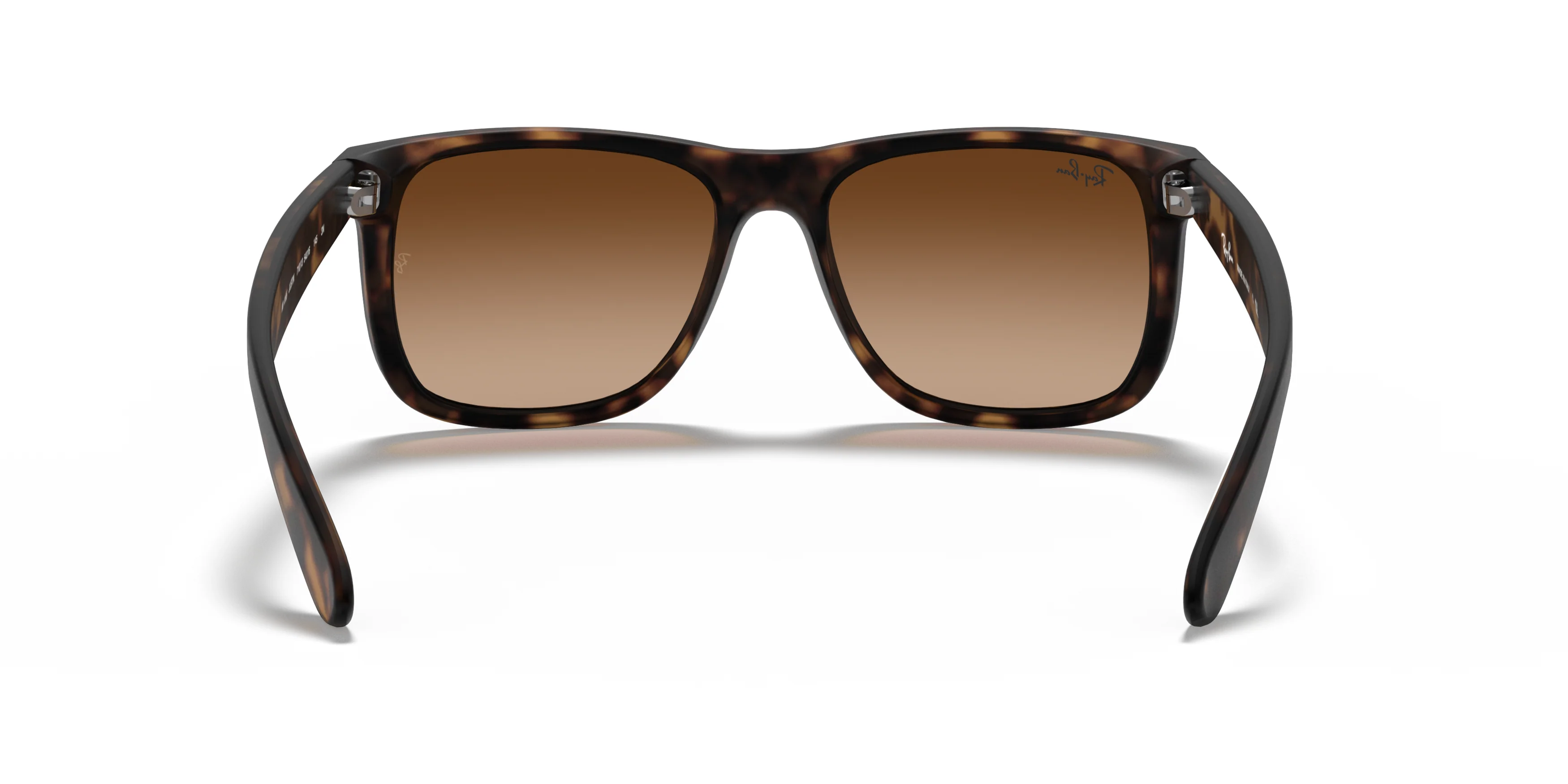 RB4165 Tortoise/Brown Gradient STD - Image 10