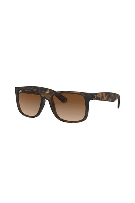 RB4165 Tortoise/Brown Gradient STD - Image 6