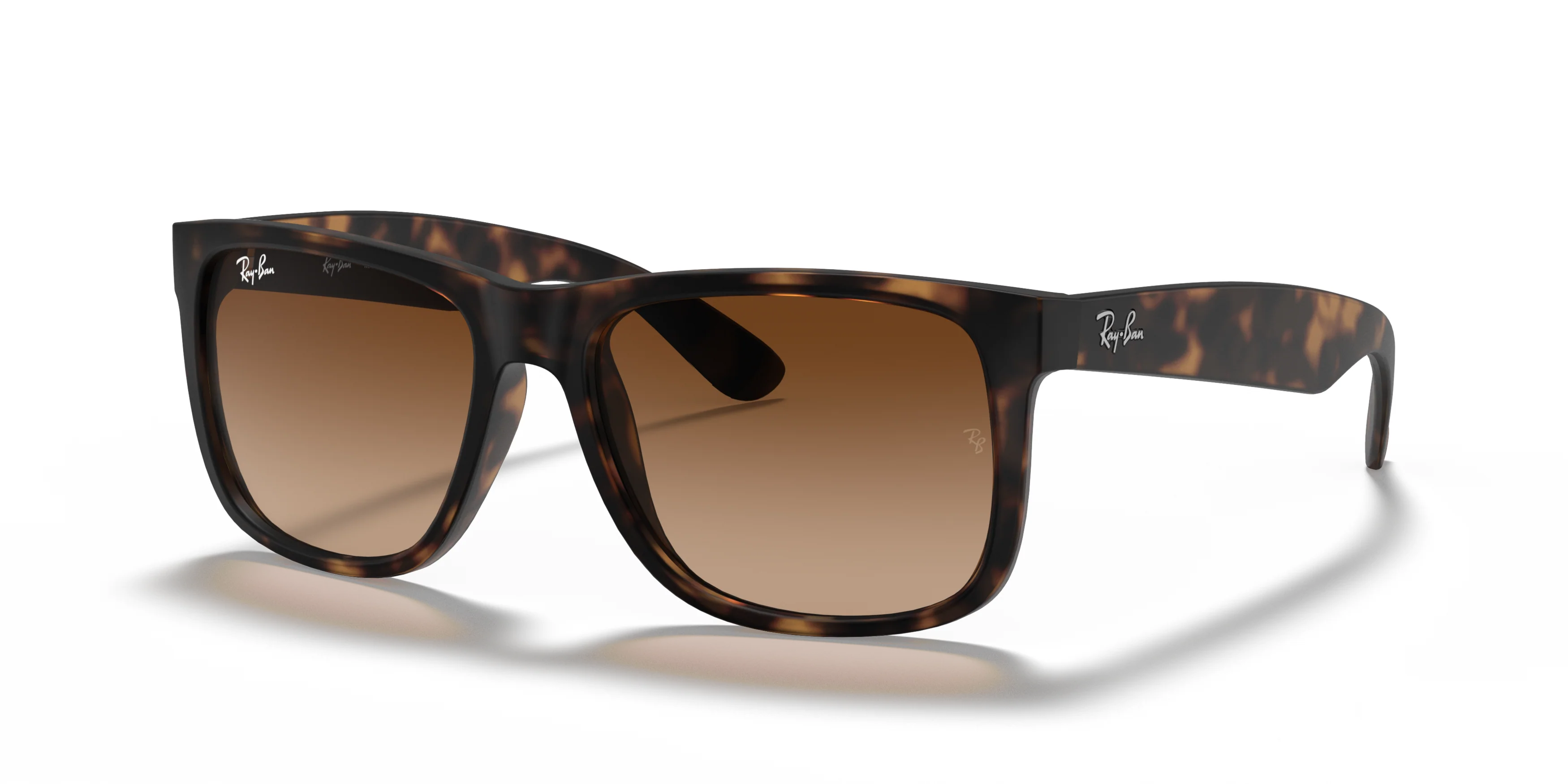 RB4165 Tortoise/Brown Gradient STD - Image 7