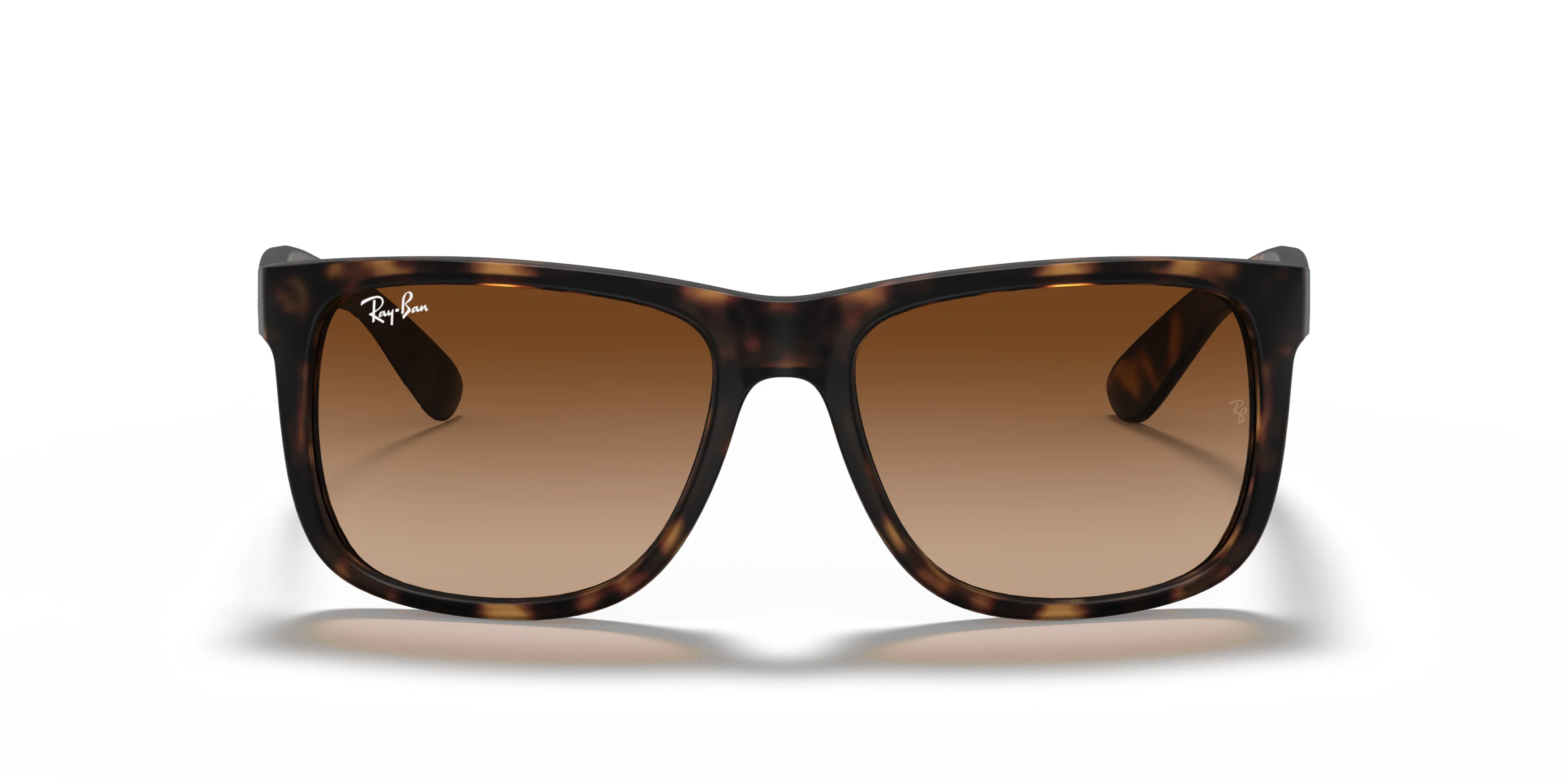 RB4165 Tortoise/Brown Gradient STD - Image 8