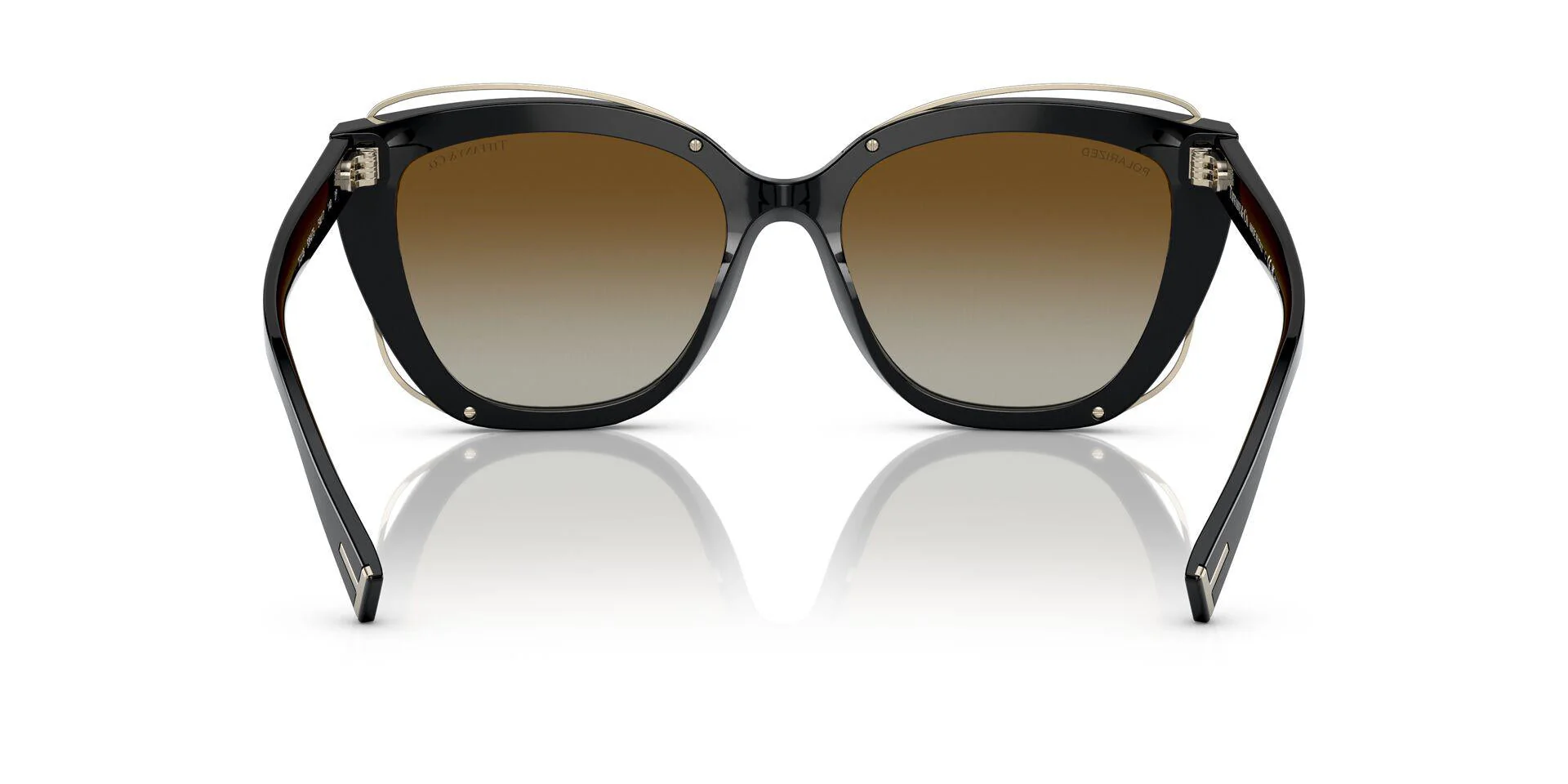 TF4148 Black/Polar Brown Gradient/Polarized M - Image 4