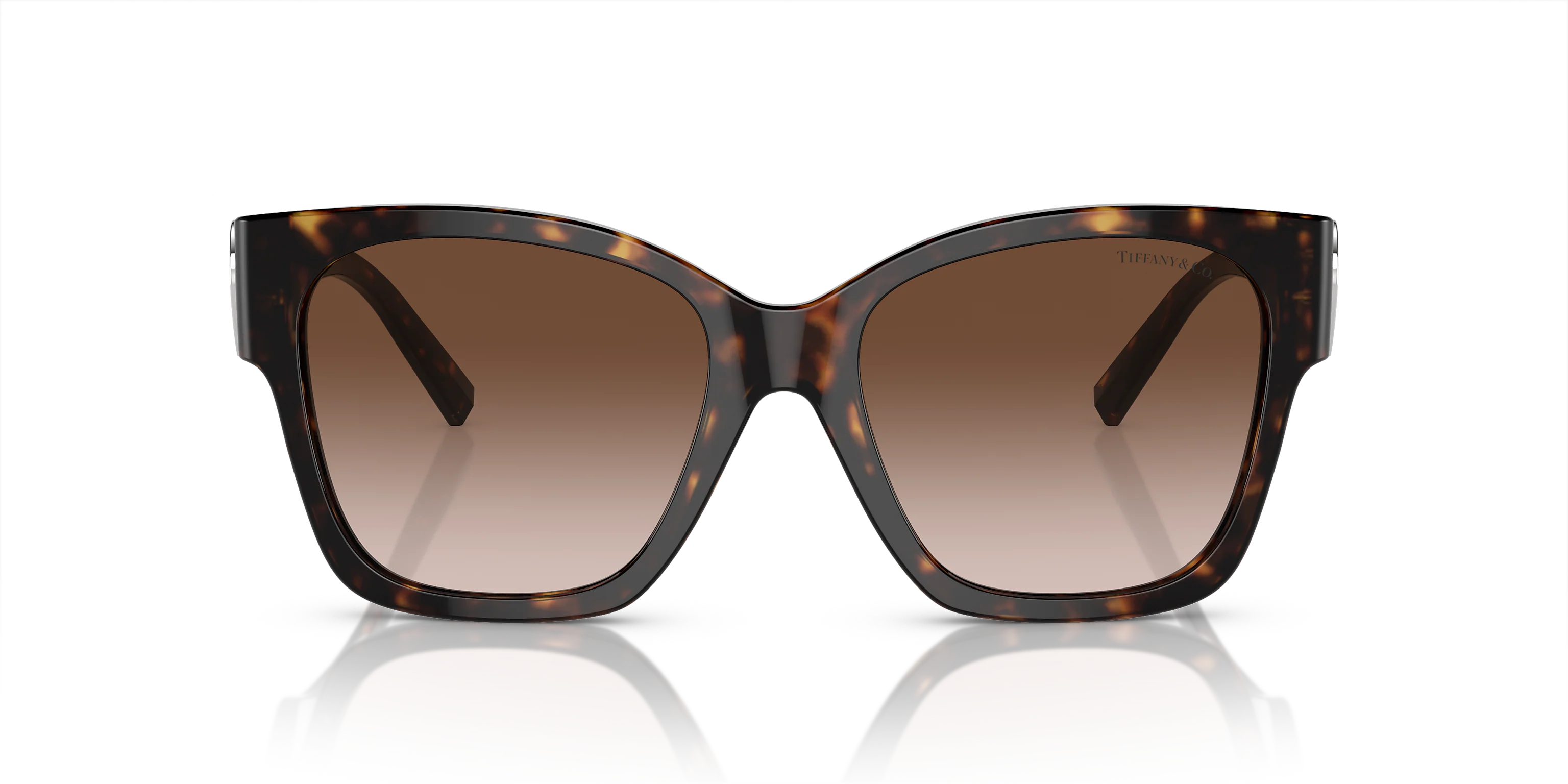 TF4216 Tortoise/Brown Gradient XL - Image 2