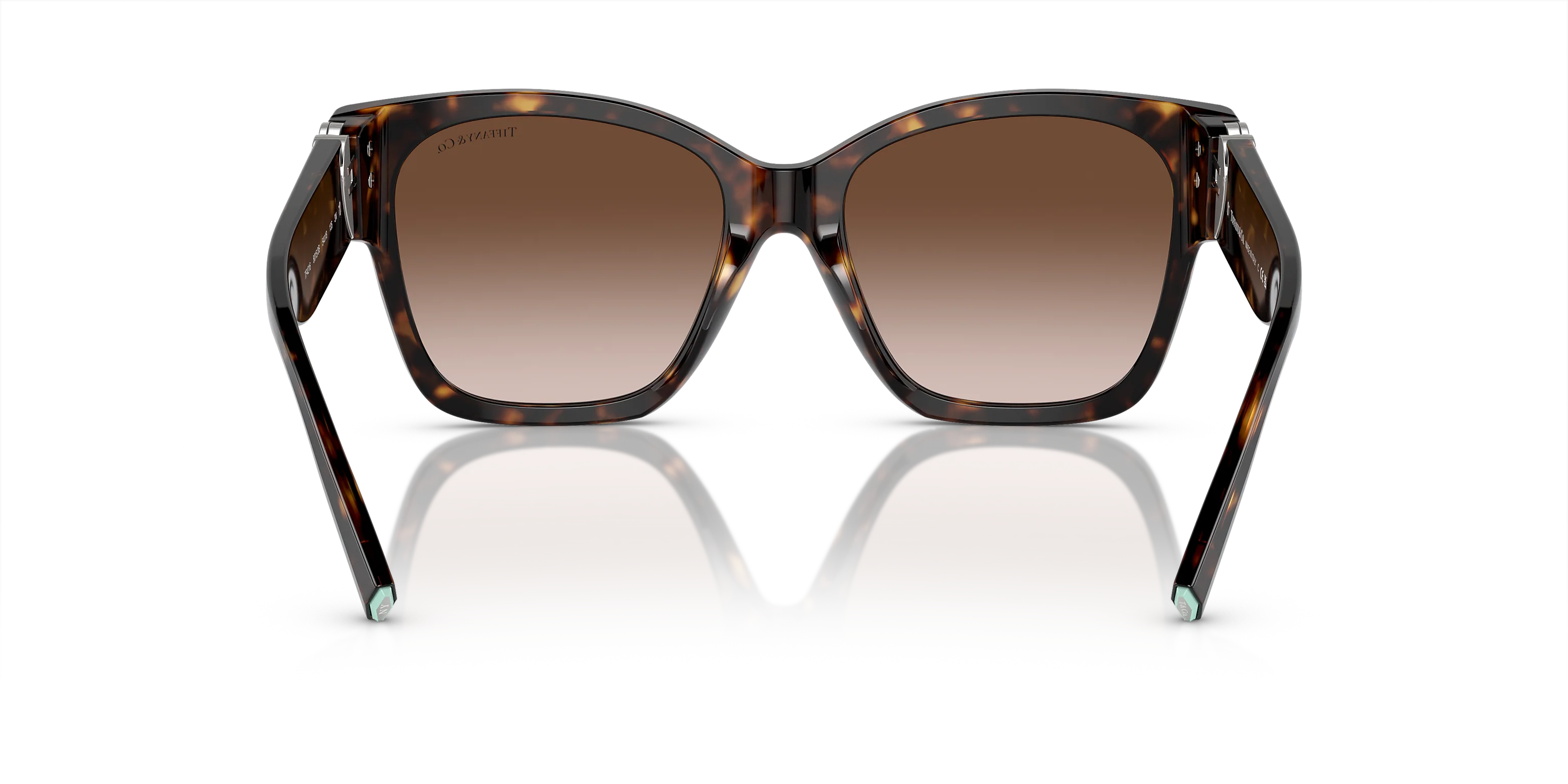 TF4216 Tortoise/Brown Gradient XL - Image 4