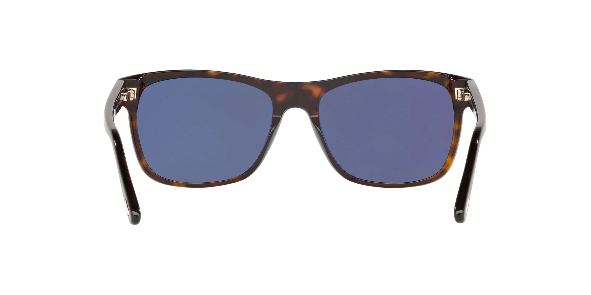 TR001050 Tortoise/Grey Polar/Polarized STD - Image 4