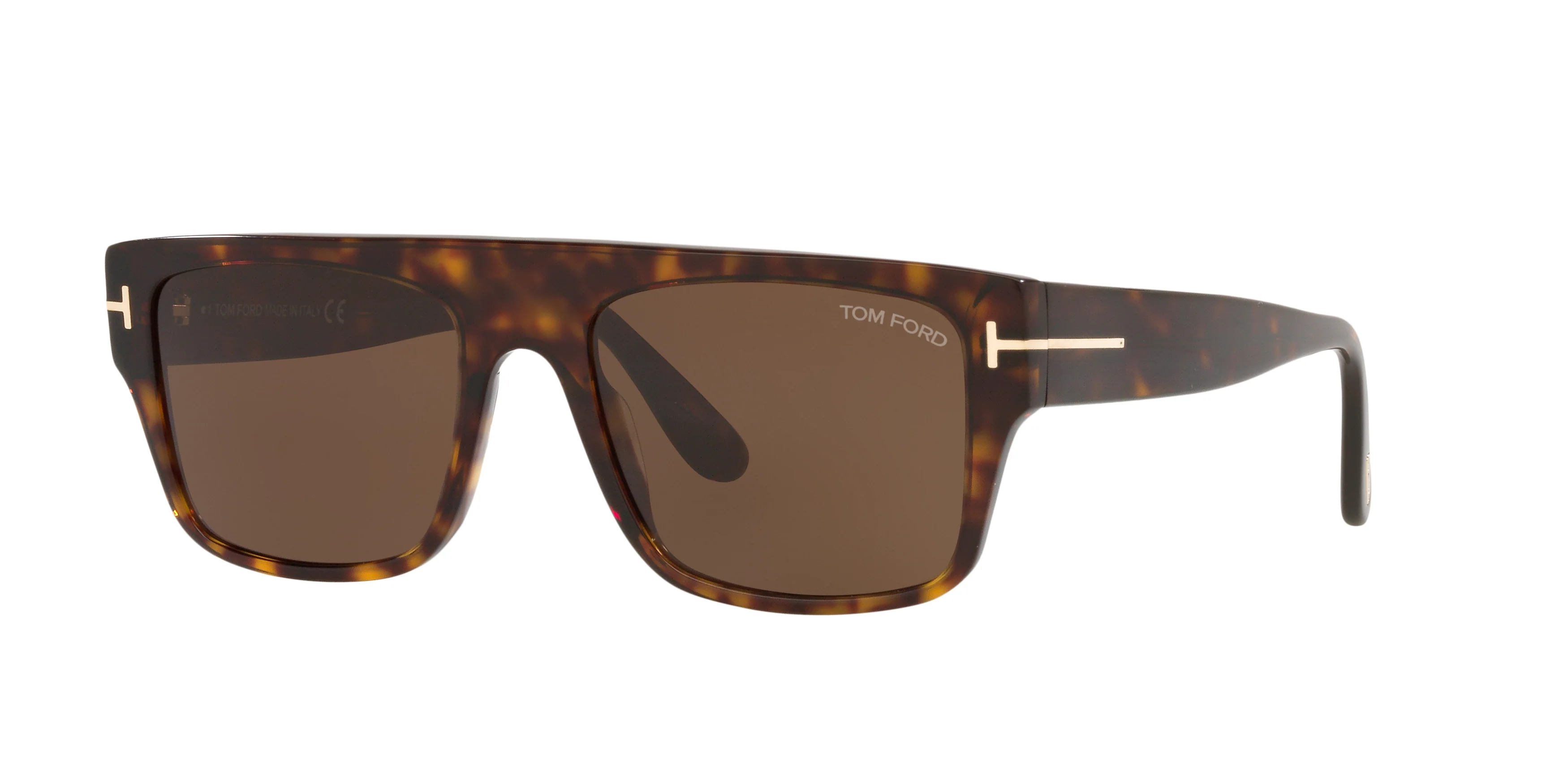 TR001363 Tortoise/Brown