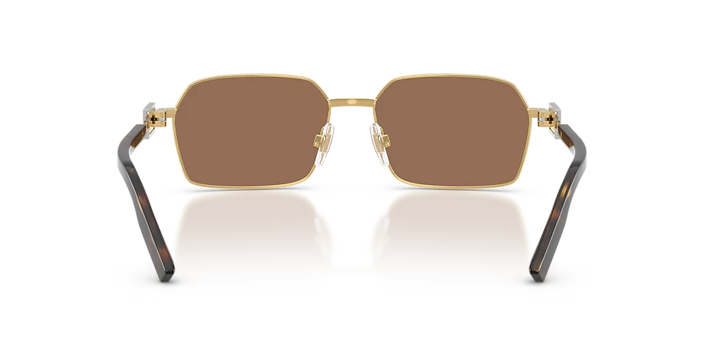 DG2316 Dolce & Gabbana Gold/Brown L - Image 4