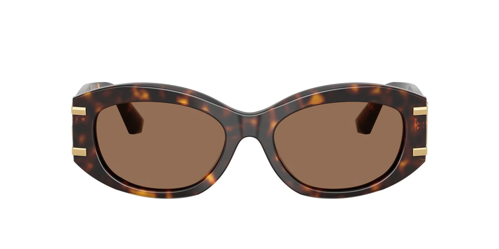 DG4502 Dolce & Gabbana Havana/Brown L - Image 2