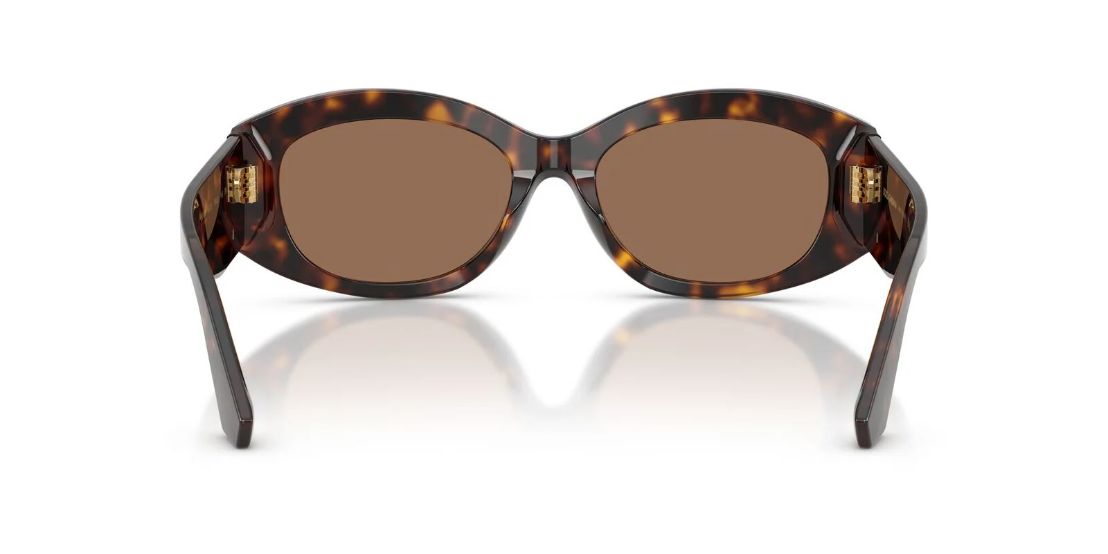 DG4502 Dolce & Gabbana Havana/Brown L - Image 3