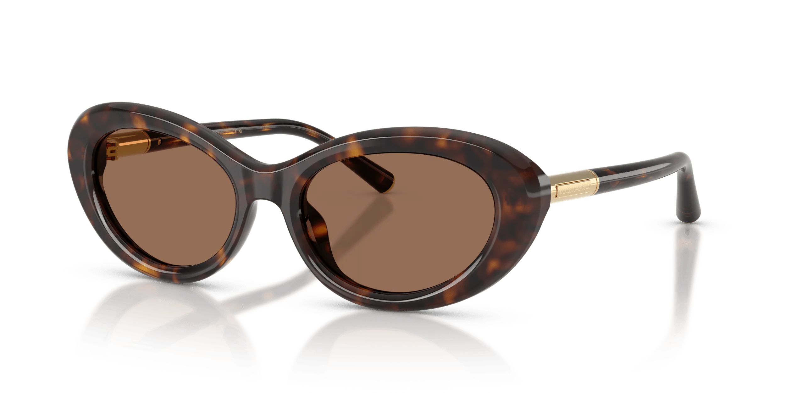 DG4519 DOLCE & GABBANA Tortoise/Brown S