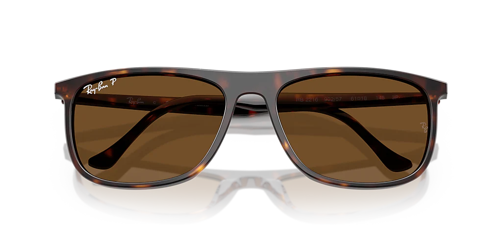 RB2216 Ray-Ban Tortoise/Brown XXL - Image 5
