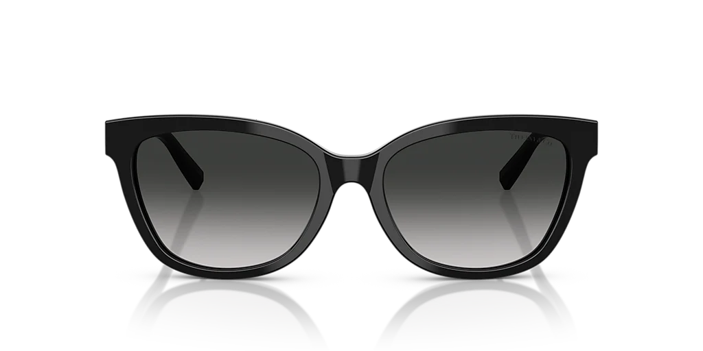 TF4237B Tiffany & Co. Black/Grey M - Image 2